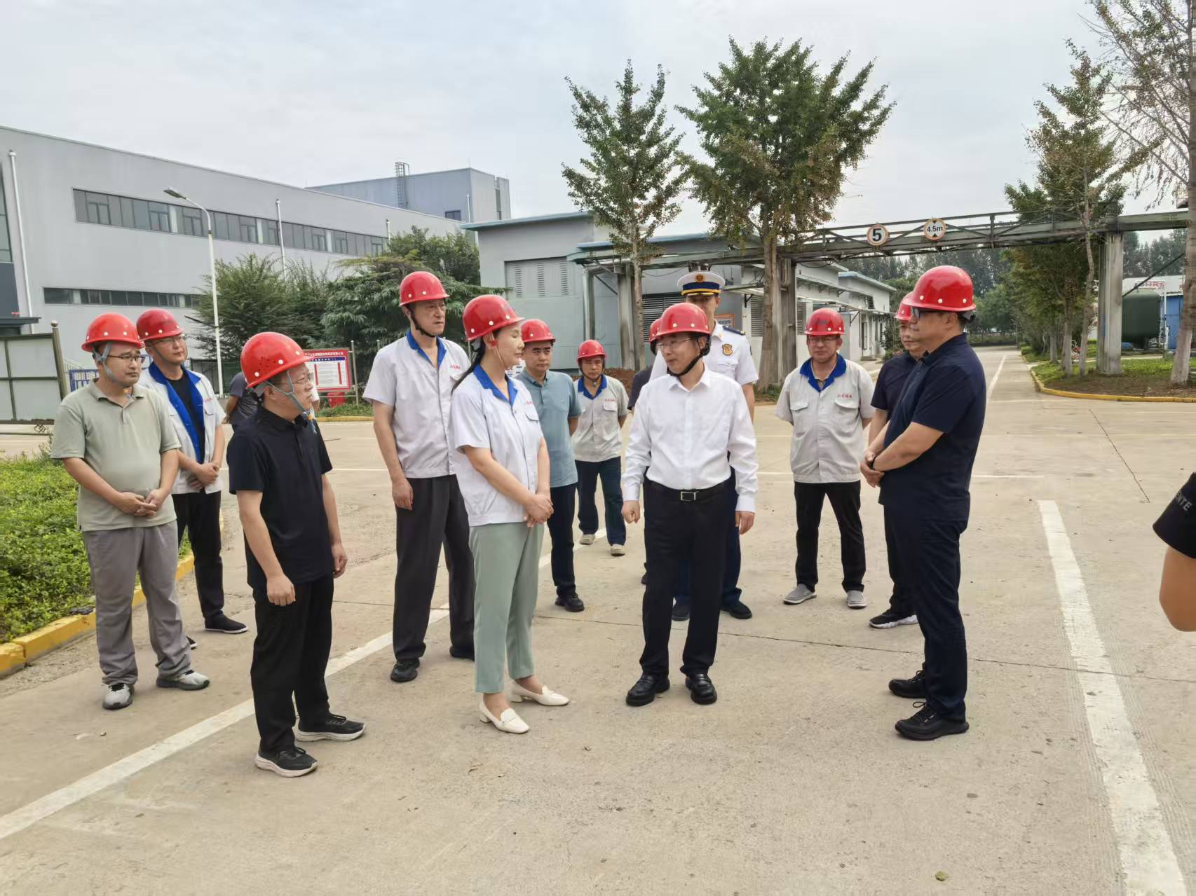 縣委書(shū)記在國慶、中秋雙節期間到公司調研